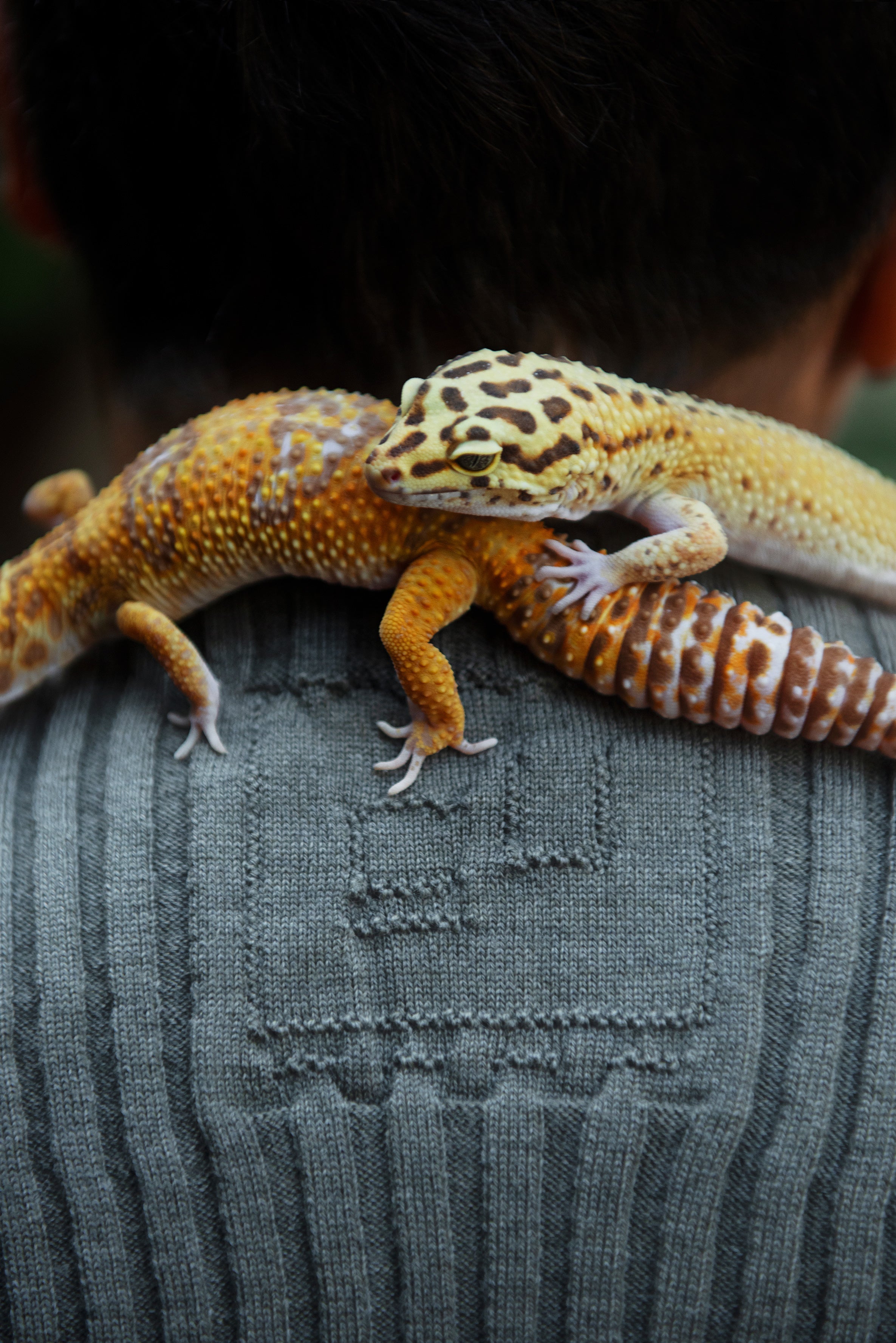 Bestiario Fluviale e altri racconti by Margherita Loba Amadio